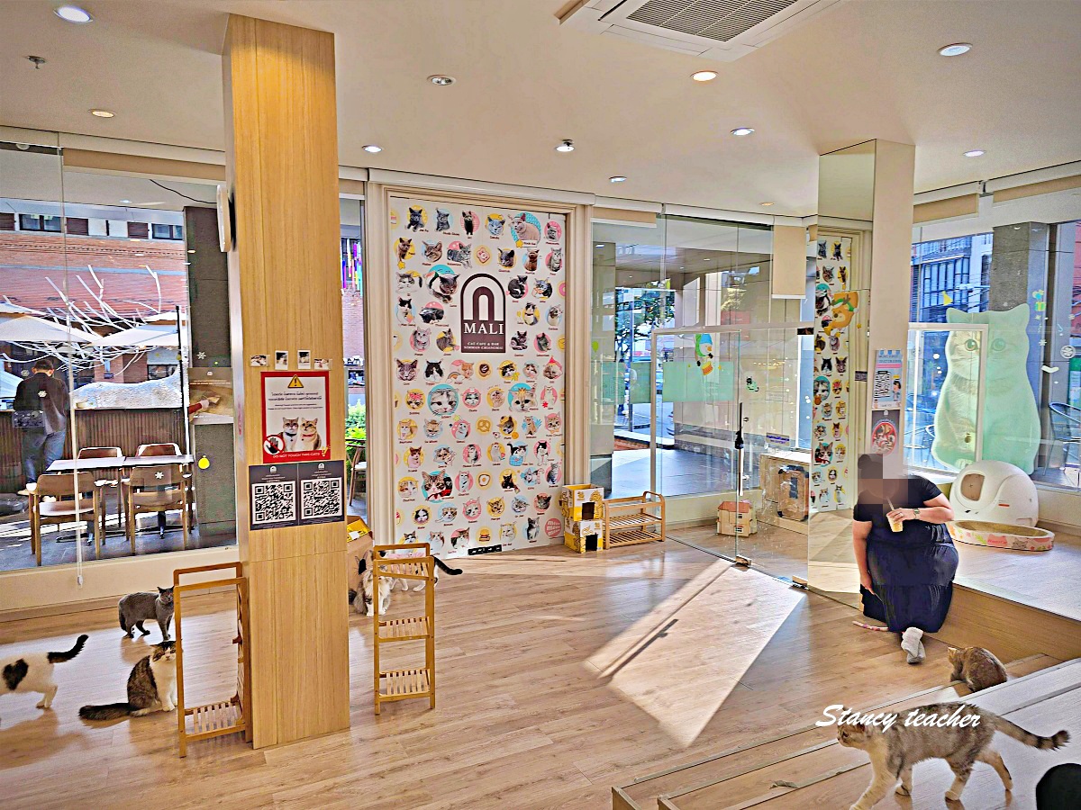 【清邁尼曼咖啡廳推薦】Mali Cat Café & Bar｜超過 80 隻親人貓陪你喝飲料！貓奴必訪的療癒系貓咪咖啡館
