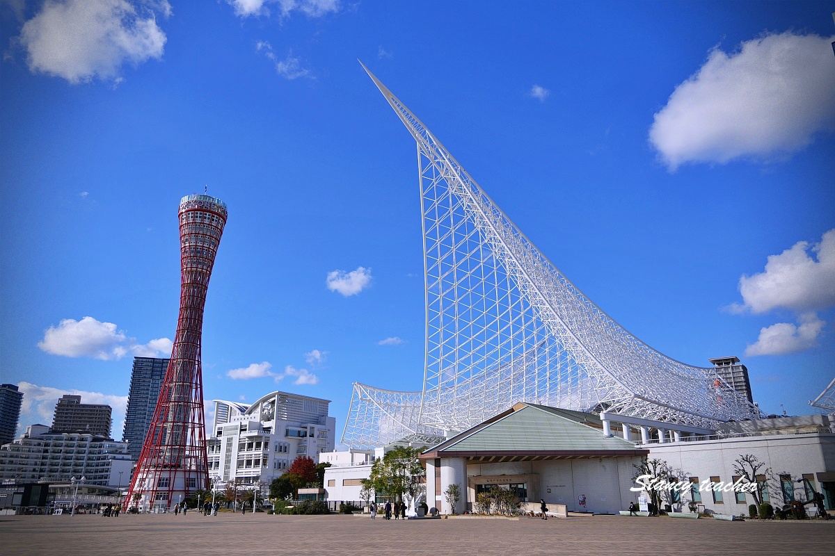 【神戶港塔 Kobe Port Tower 攻略】2026 全樓層介紹＋展望台景觀、咖啡廳、屋頂平台完整指南