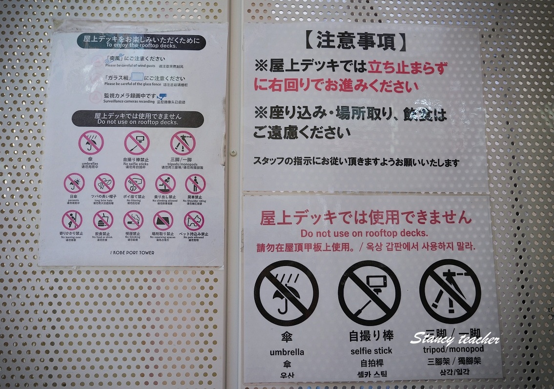 【神戶港塔 Kobe Port Tower 攻略】2026 全樓層介紹＋展望台景觀、咖啡廳、屋頂平台完整指南