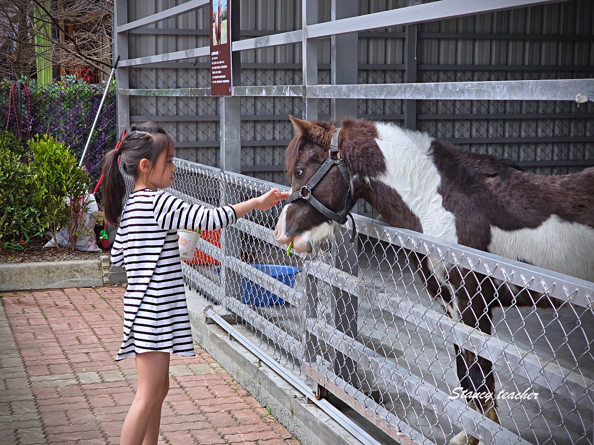 水與松萌萌園親子遊記｜南投埔里超療癒動物農場，小孩進去就不想走