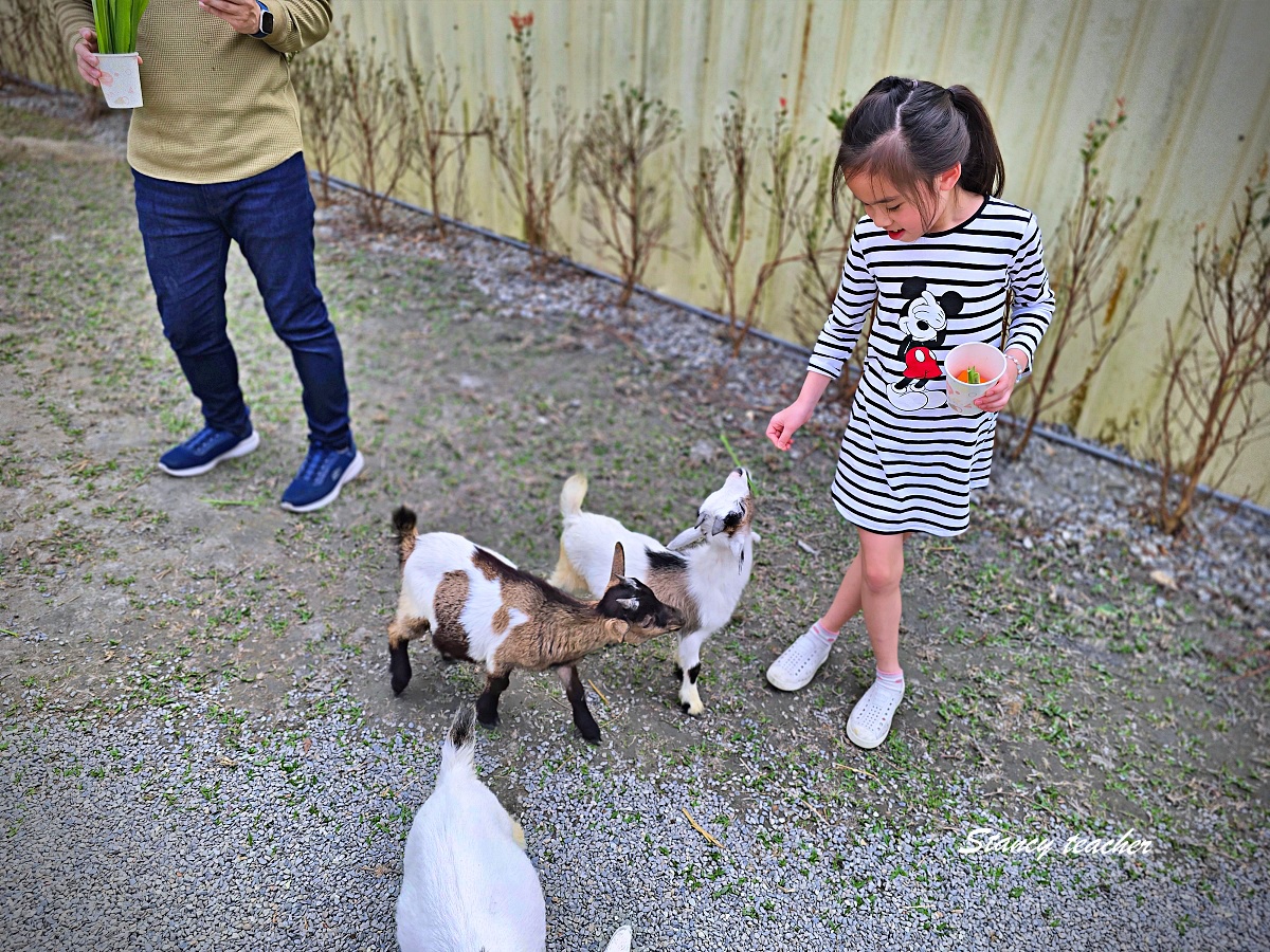 水與松萌萌園親子遊記｜南投埔里超療癒動物農場，小孩進去就不想走