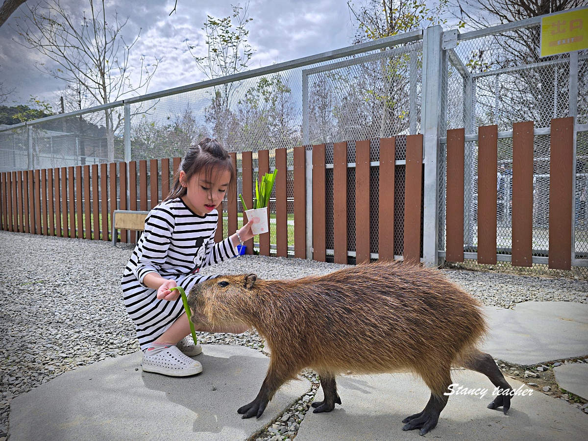 水與松萌萌園親子遊記｜南投埔里超療癒動物農場，小孩進去就不想走 @Stancy Teacher 美味異想世界
