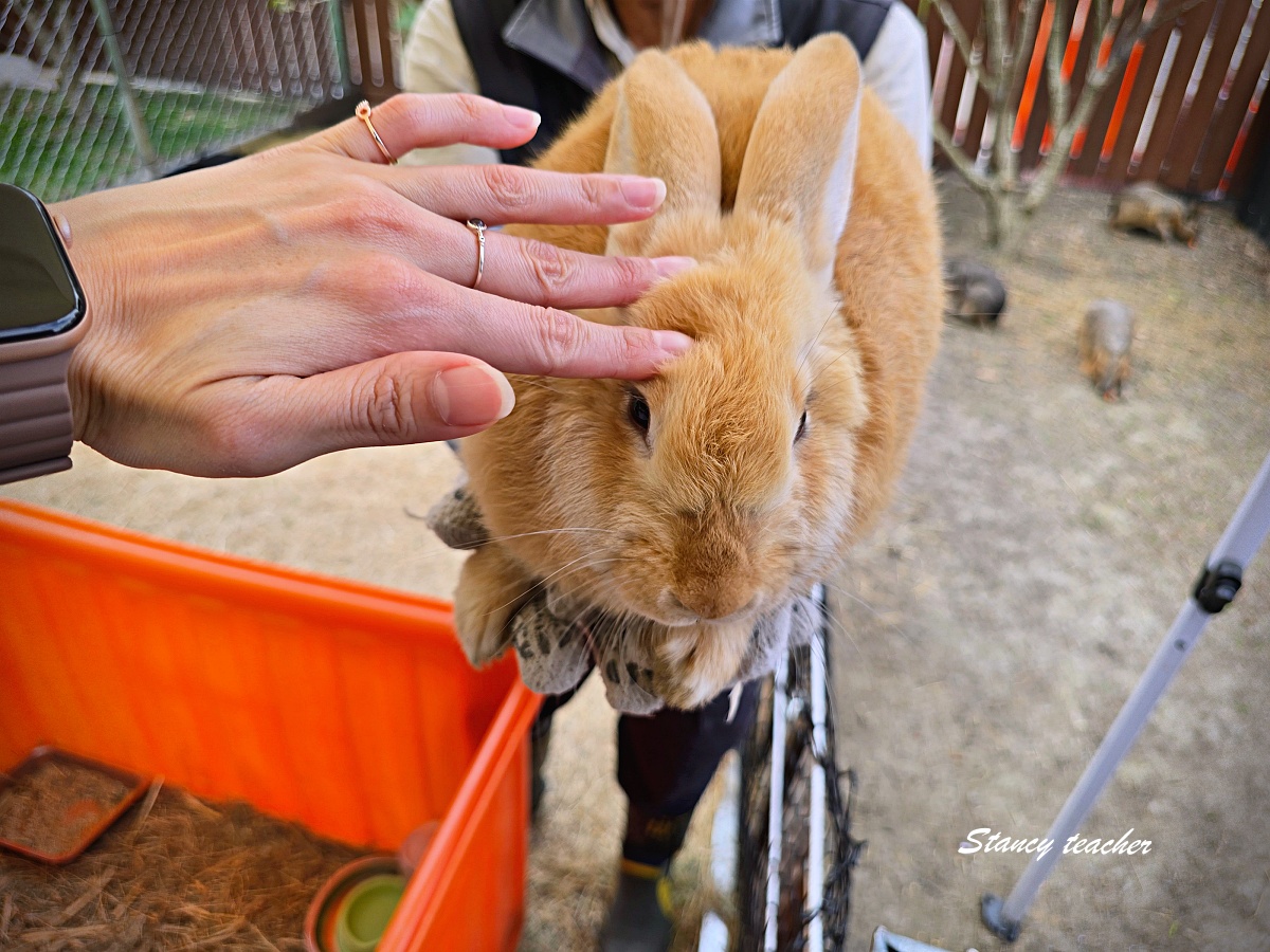 水與松萌萌園親子遊記｜南投埔里超療癒動物農場，小孩進去就不想走