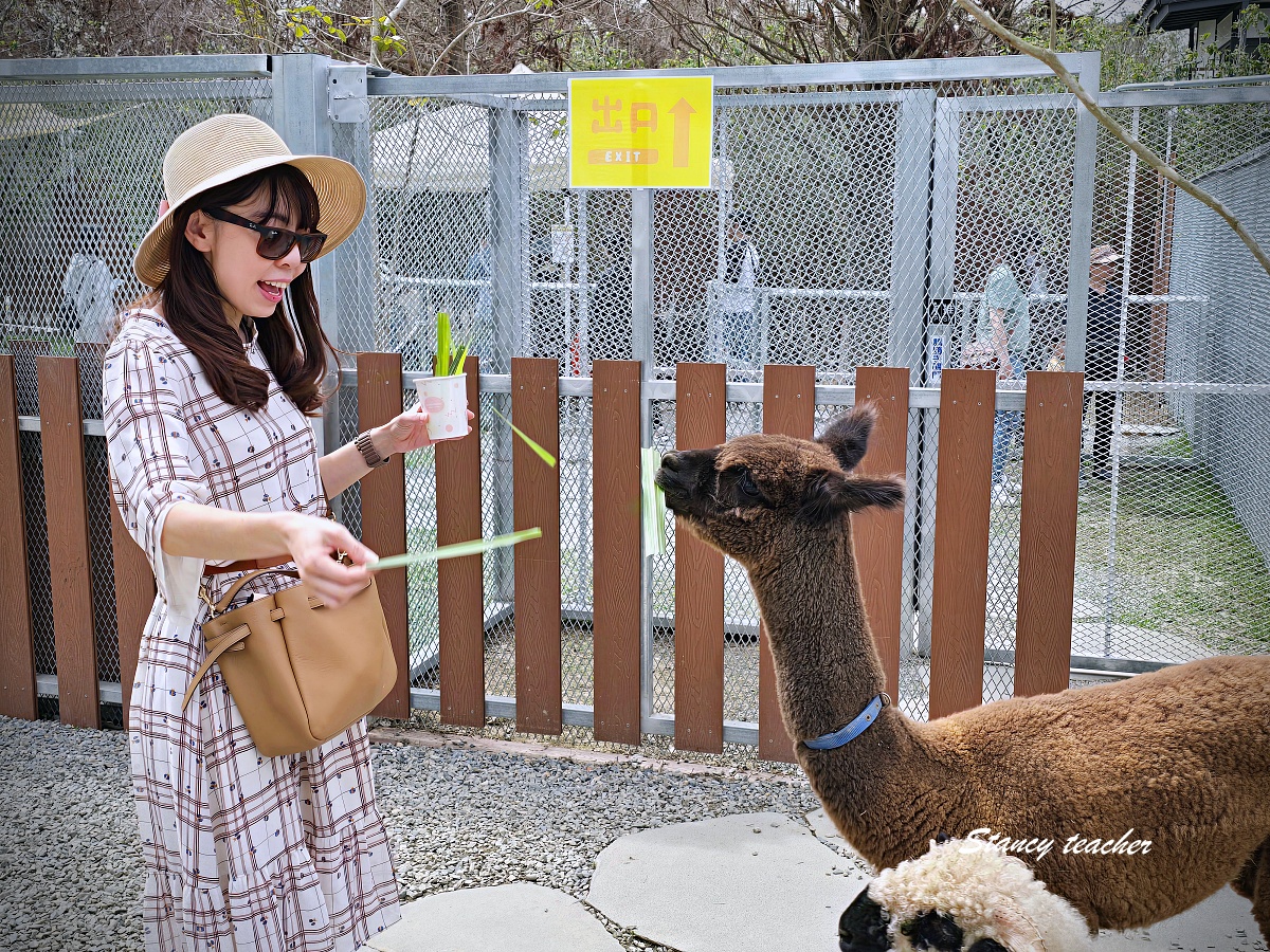 水與松萌萌園親子遊記｜南投埔里超療癒動物農場，小孩進去就不想走