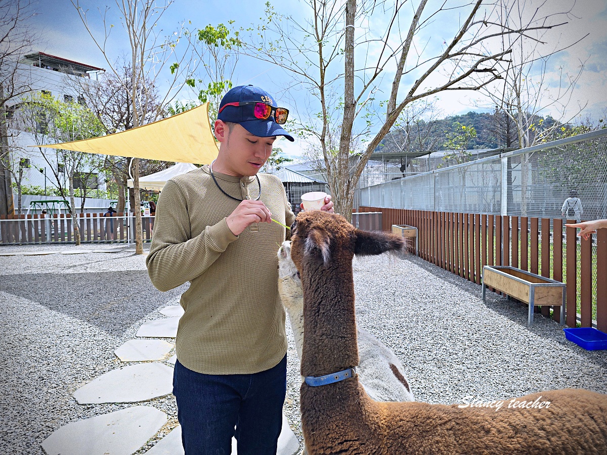 水與松萌萌園親子遊記｜南投埔里超療癒動物農場，小孩進去就不想走