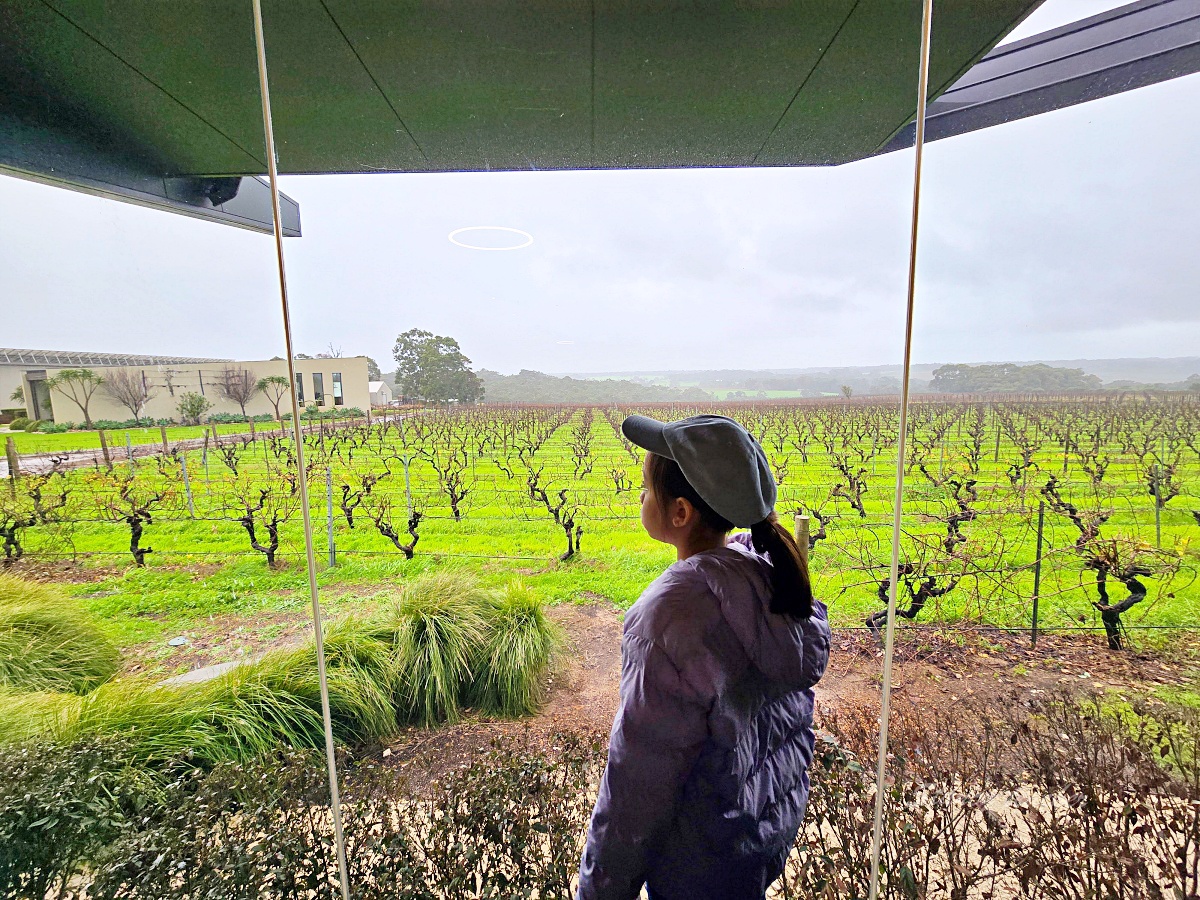 Amelia Park Wines 西澳酒莊餐廳｜葡萄園景第一排用餐！乾式熟成帶骨牛排太強