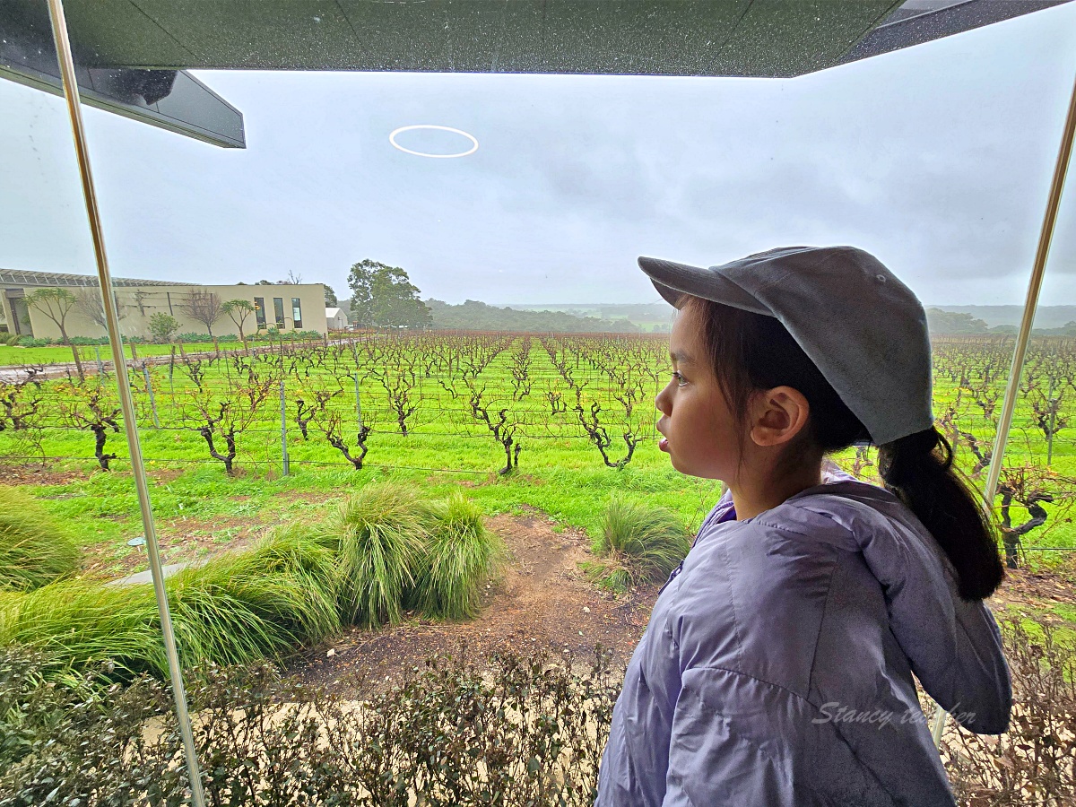 Amelia Park Wines 西澳酒莊餐廳｜葡萄園景第一排用餐！乾式熟成帶骨牛排太強