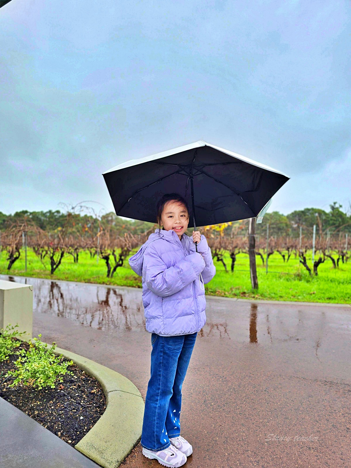 Amelia Park Wines 西澳酒莊餐廳｜葡萄園景第一排用餐！乾式熟成帶骨牛排太強