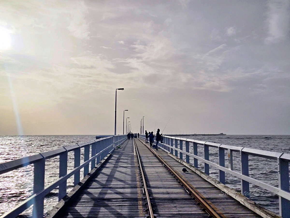 西澳必去景點｜Busselton Jetty 巴瑟爾頓棧橋攻略：南半球最長木棧橋、小火車鐵道、紀念品店一次看