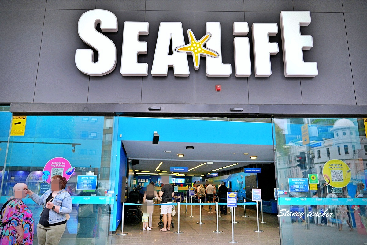 墨爾本水族館攻略｜SEA LIFE Melbourne Aquarium 門票、企鵝館、章魚近距離觀察與親子互動體驗 @Stancy Teacher 美味異想世界