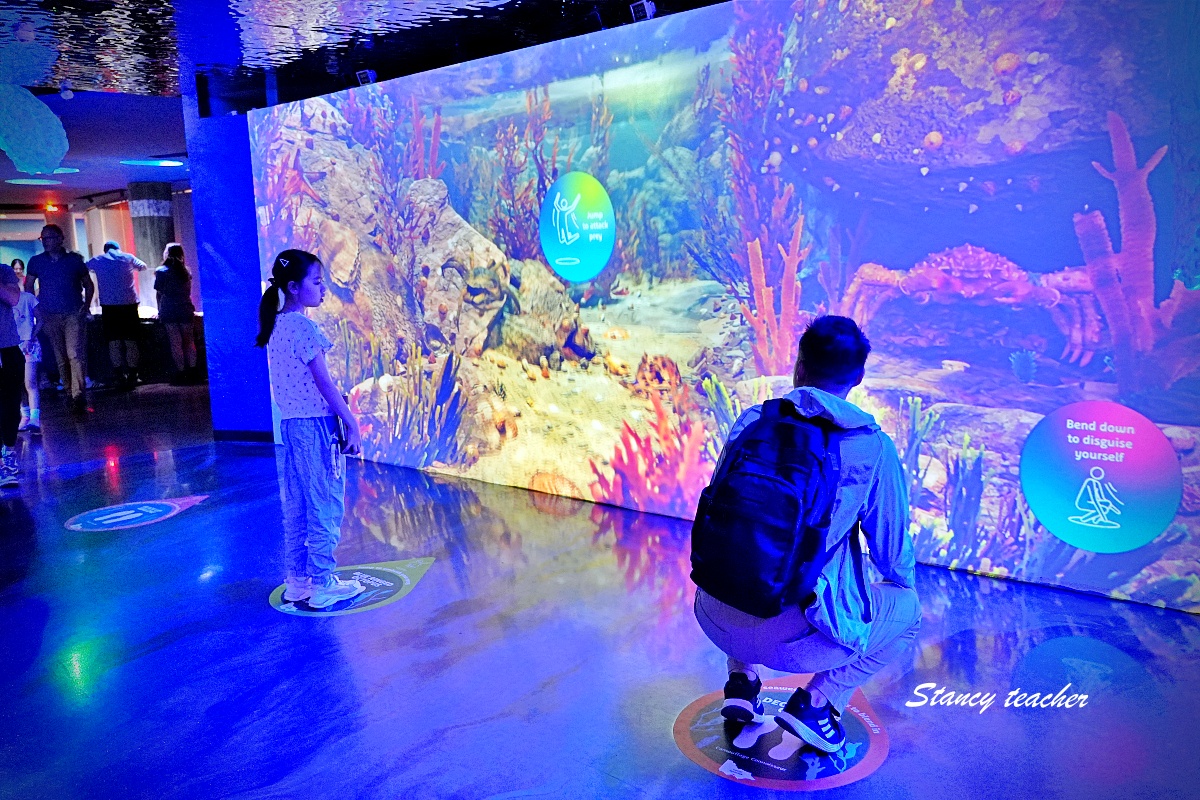 墨爾本水族館攻略|SEA LIFE Melbourne Aquarium 門票、企鵝館、章魚近距離觀察與親子互動體驗 墨爾本水族館攻略|SEA LIFE Melbourne Aquarium 門票、企鵝館、章魚近距離觀察與親子互動體驗