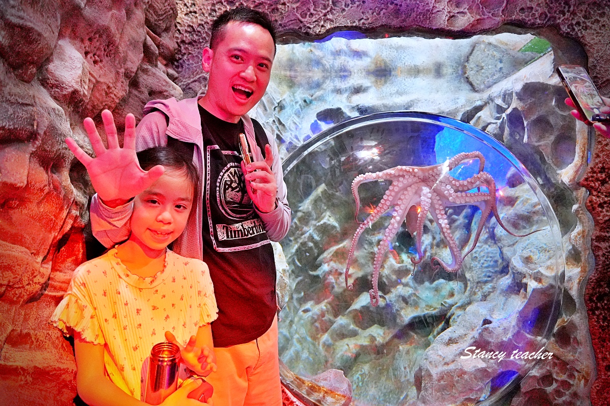 墨爾本水族館攻略｜SEA LIFE Melbourne Aquarium 門票、企鵝館、章魚近距離觀察與親子互動體驗