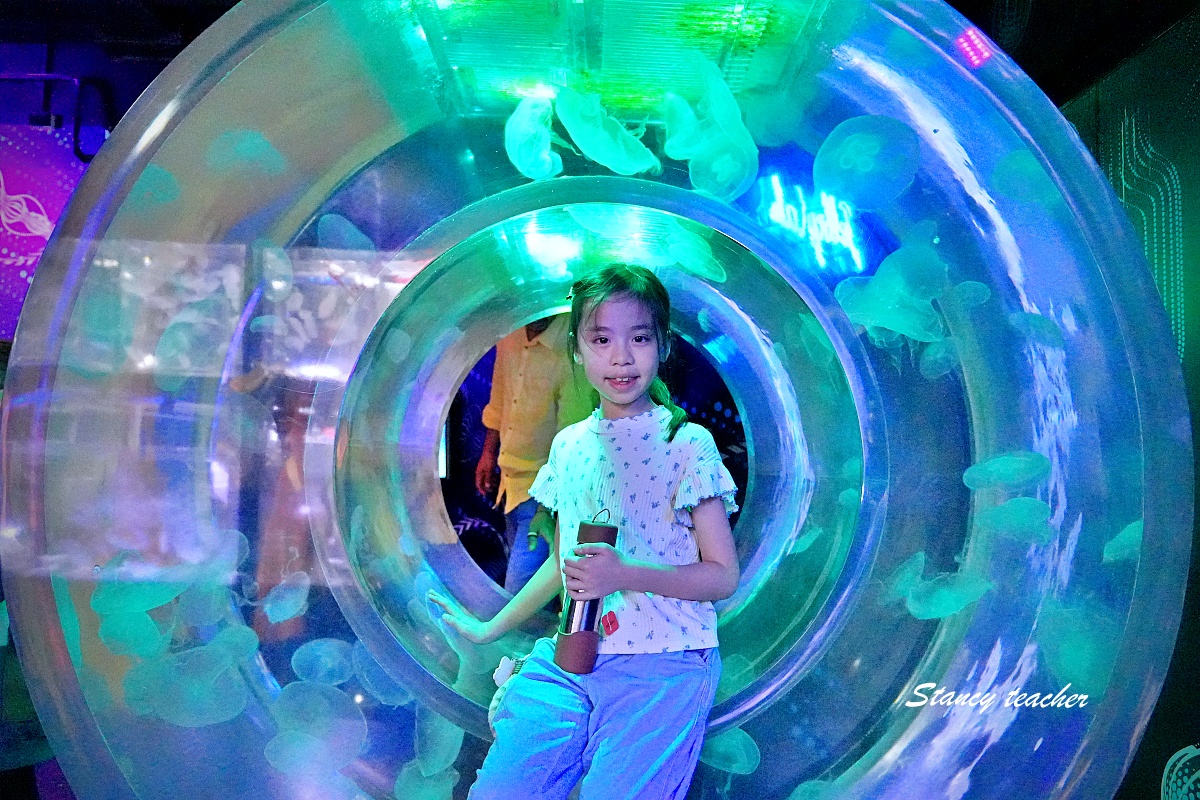 墨爾本水族館攻略|SEA LIFE Melbourne Aquarium 門票、企鵝館、章魚近距離觀察與親子互動體驗 墨爾本水族館攻略|SEA LIFE Melbourne Aquarium 門票、企鵝館、章魚近距離觀察與親子互動體驗