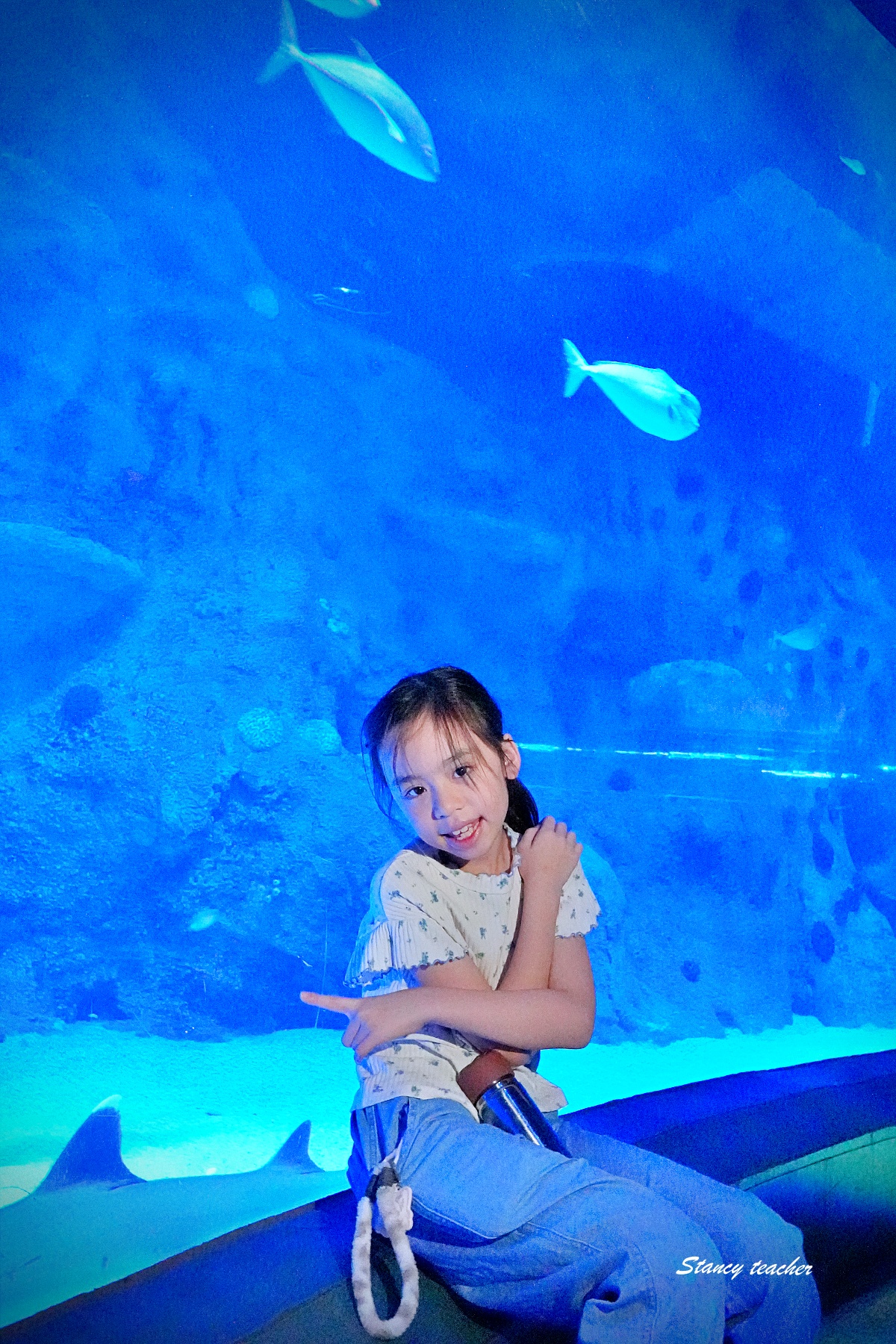 墨爾本水族館攻略｜SEA LIFE Melbourne Aquarium 門票、企鵝館、章魚近距離觀察與親子互動體驗