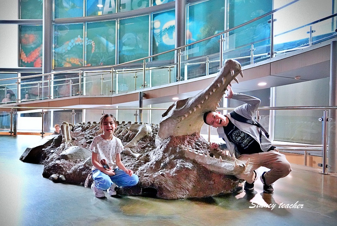 墨爾本水族館攻略|SEA LIFE Melbourne Aquarium 門票、企鵝館、章魚近距離觀察與親子互動體驗 墨爾本水族館攻略|SEA LIFE Melbourne Aquarium 門票、企鵝館、章魚近距離觀察與親子互動體驗