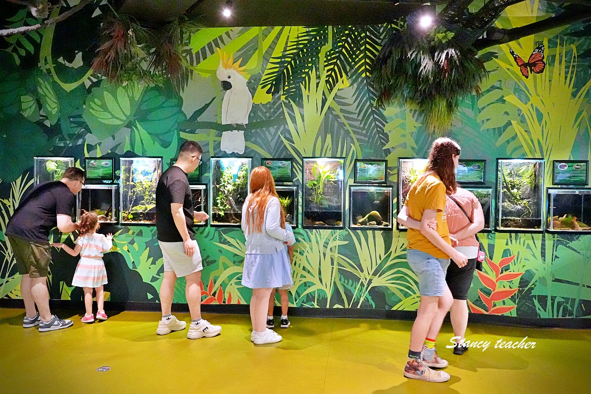 墨爾本水族館攻略｜SEA LIFE Melbourne Aquarium 門票、企鵝館、章魚近距離觀察與親子互動體驗