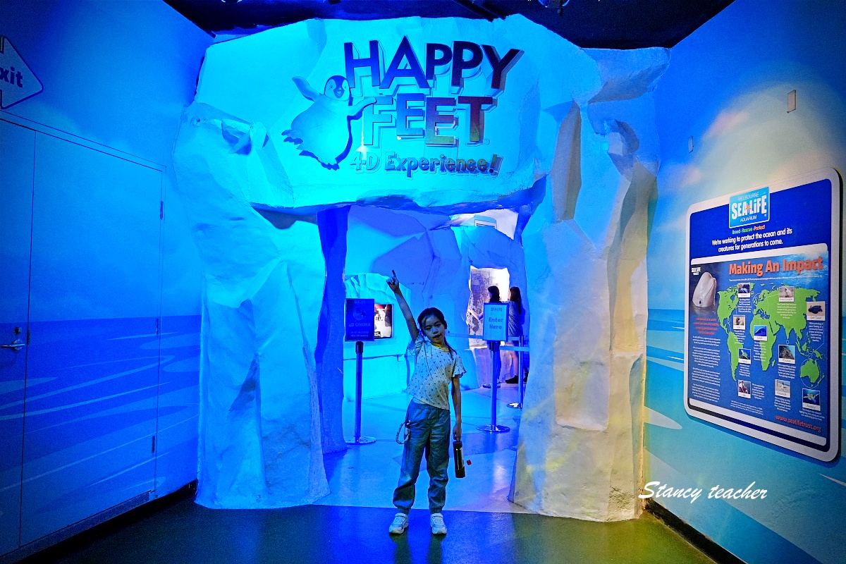 墨爾本水族館攻略｜SEA LIFE Melbourne Aquarium 門票、企鵝館、章魚近距離觀察與親子互動體驗