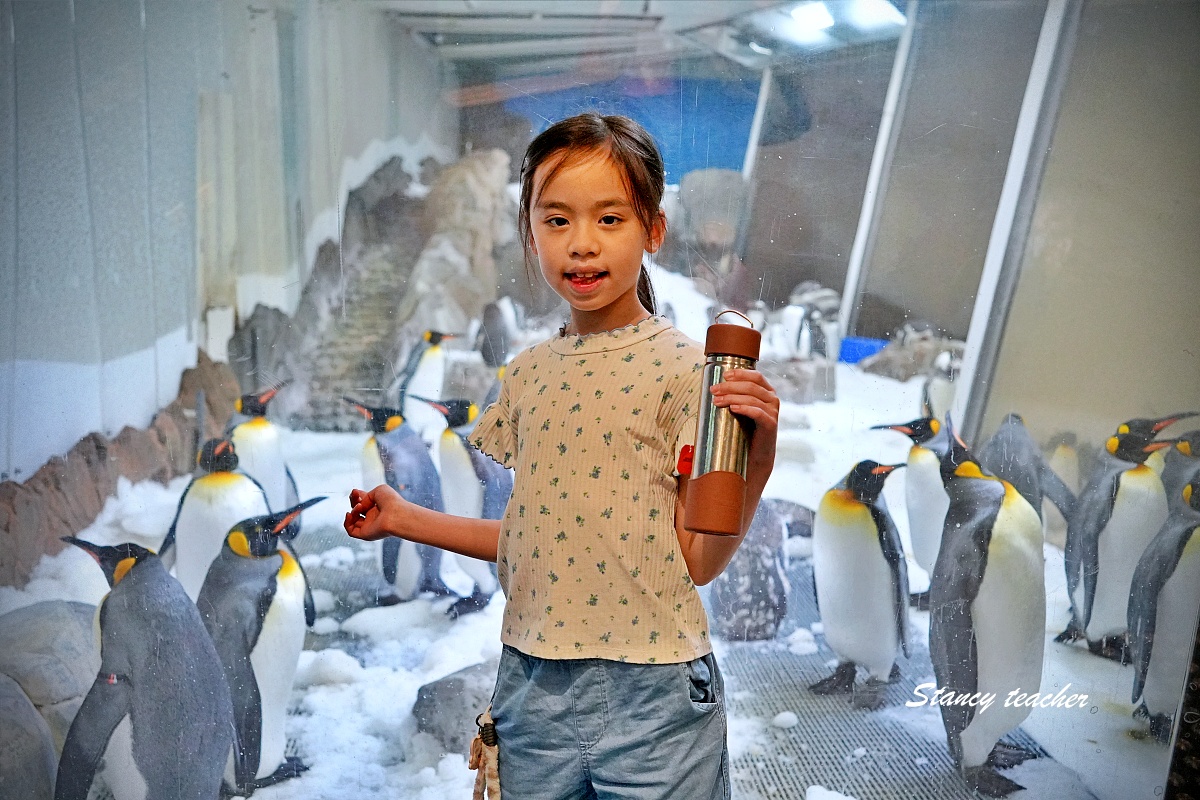 墨爾本水族館攻略|SEA LIFE Melbourne Aquarium 門票、企鵝館、章魚近距離觀察與親子互動體驗 墨爾本水族館攻略|SEA LIFE Melbourne Aquarium 門票、企鵝館、章魚近距離觀察與親子互動體驗