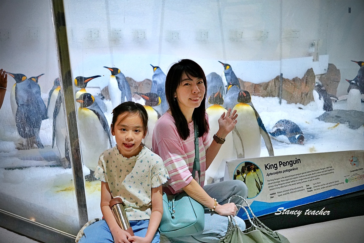 墨爾本水族館攻略|SEA LIFE Melbourne Aquarium 門票、企鵝館、章魚近距離觀察與親子互動體驗 墨爾本水族館攻略|SEA LIFE Melbourne Aquarium 門票、企鵝館、章魚近距離觀察與親子互動體驗