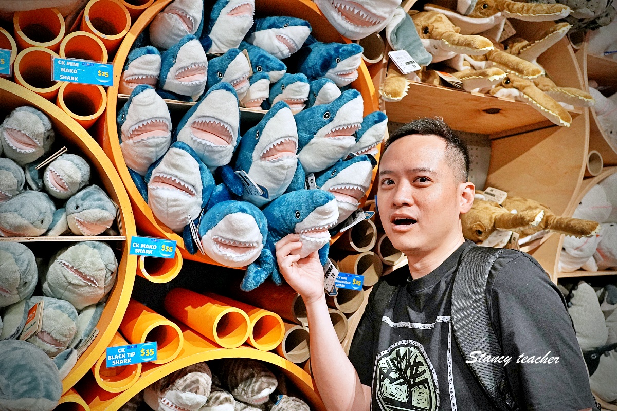 墨爾本水族館攻略|SEA LIFE Melbourne Aquarium 門票、企鵝館、章魚近距離觀察與親子互動體驗 墨爾本水族館攻略|SEA LIFE Melbourne Aquarium 門票、企鵝館、章魚近距離觀察與親子互動體驗