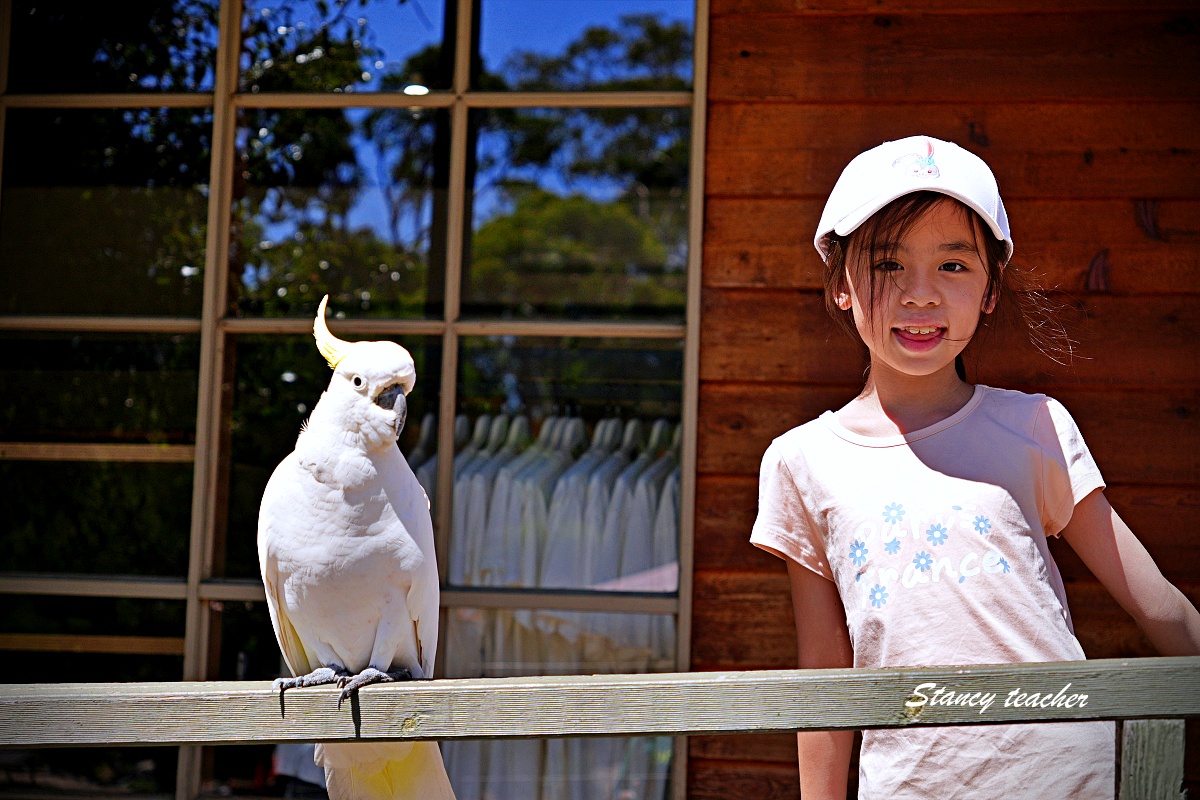 墨爾本格蘭坪國家公園一日遊｜Grampians National Park 壯麗山谷與野生動物體驗