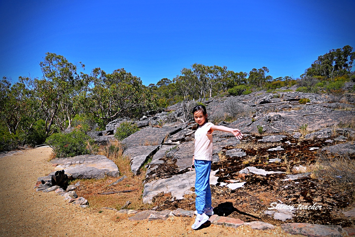 墨爾本格蘭坪國家公園一日遊｜Grampians National Park 壯麗山谷與野生動物體驗