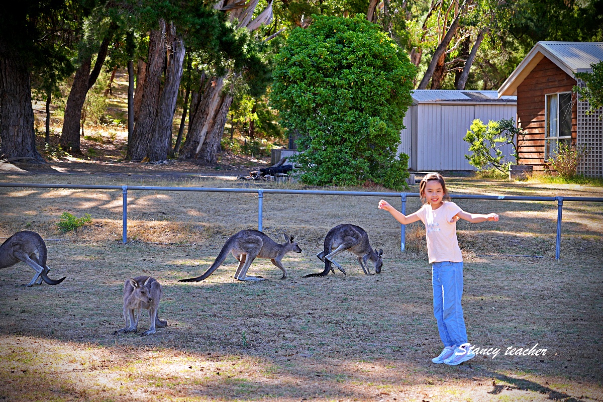 墨爾本格蘭坪國家公園一日遊｜Grampians National Park 壯麗山谷與野生動物體驗