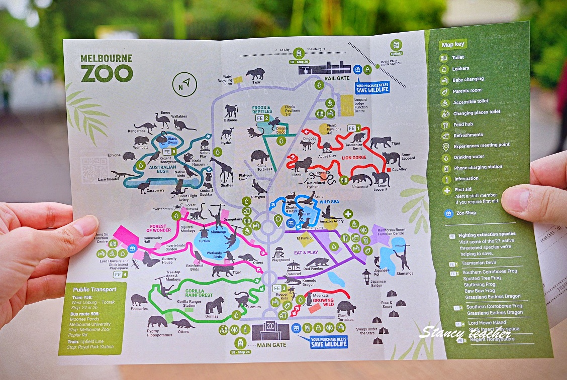 澳洲親子自由行必訪！墨爾本動物園 Melbourne Zoo 全攻略：絕美蝴蝶園、超萌丁狗、長頸鹿零死角合影神位大公開