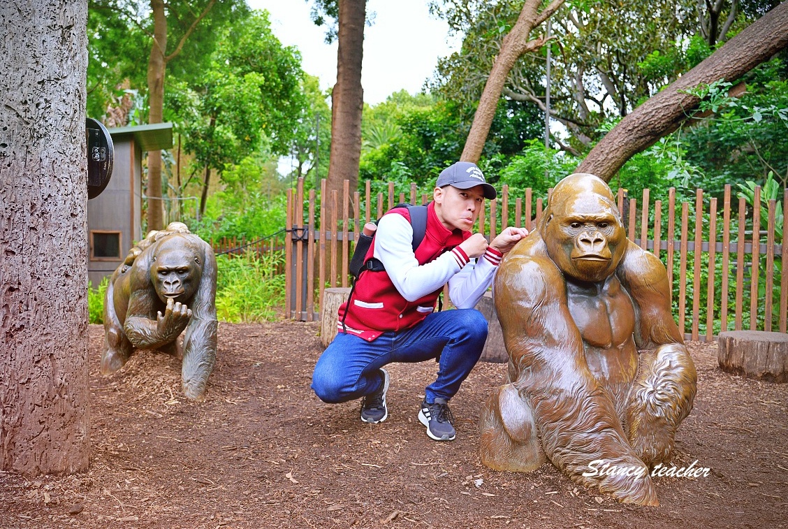 澳洲親子自由行必訪!墨爾本動物園 Melbourne Zoo 全攻略:絕美蝴蝶園、超萌丁狗、長頸鹿零死角合影神位大公開 澳洲親子自由行必訪!墨爾本動物園 Melbourne Zoo 全攻略:絕美蝴蝶園、超萌丁狗、長頸鹿零死角合影神位大公開