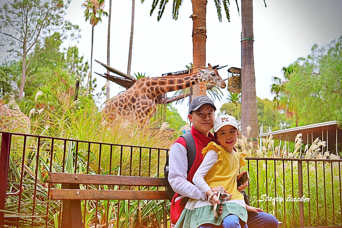 澳洲親子自由行必訪！墨爾本動物園 Melbourne Zoo 全攻略：絕美蝴蝶園、超萌丁狗、長頸鹿零死角合影神位大公開 @Stancy Teacher 美味異想世界