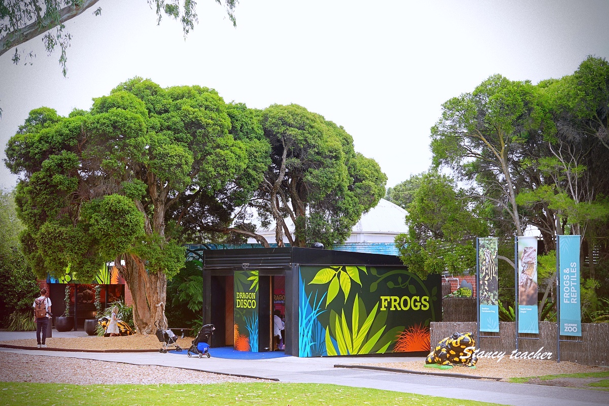 澳洲親子自由行必訪！墨爾本動物園 Melbourne Zoo 全攻略：絕美蝴蝶園、超萌丁狗、長頸鹿零死角合影神位大公開