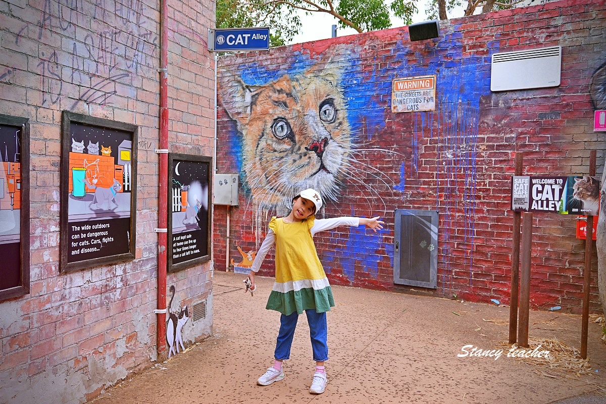澳洲親子自由行必訪！墨爾本動物園 Melbourne Zoo 全攻略：絕美蝴蝶園、超萌丁狗、長頸鹿零死角合影神位大公開