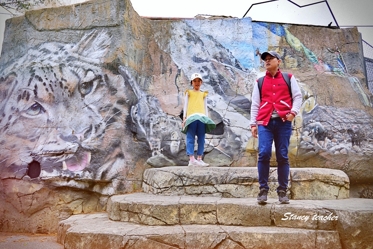 澳洲親子自由行必訪！墨爾本動物園 Melbourne Zoo 全攻略：絕美蝴蝶園、超萌丁狗、長頸鹿零死角合影神位大公開