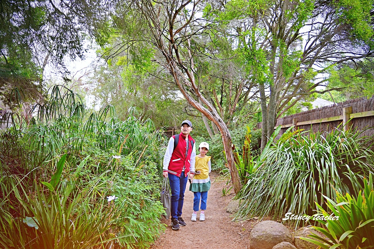 澳洲親子自由行必訪!墨爾本動物園 Melbourne Zoo 全攻略:絕美蝴蝶園、超萌丁狗、長頸鹿零死角合影神位大公開 澳洲親子自由行必訪!墨爾本動物園 Melbourne Zoo 全攻略:絕美蝴蝶園、超萌丁狗、長頸鹿零死角合影神位大公開