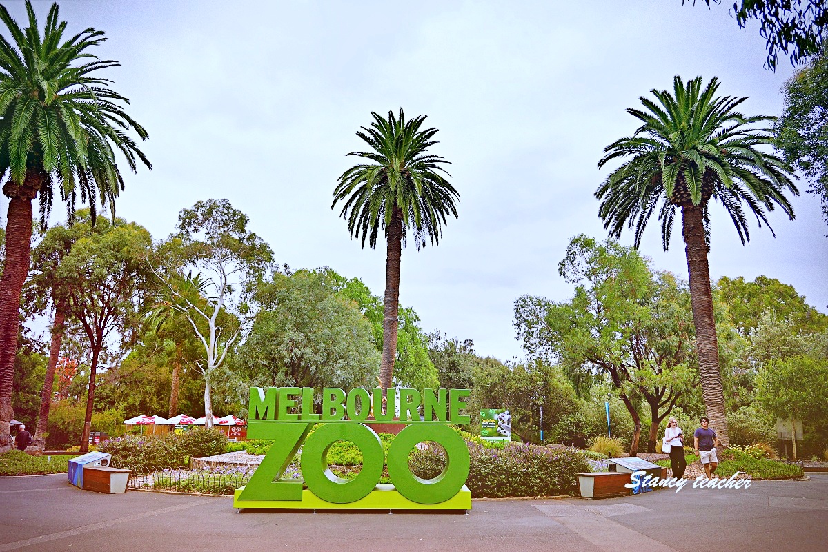 澳洲親子自由行必訪!墨爾本動物園 Melbourne Zoo 全攻略:絕美蝴蝶園、超萌丁狗、長頸鹿零死角合影神位大公開 澳洲親子自由行必訪!墨爾本動物園 Melbourne Zoo 全攻略:絕美蝴蝶園、超萌丁狗、長頸鹿零死角合影神位大公開