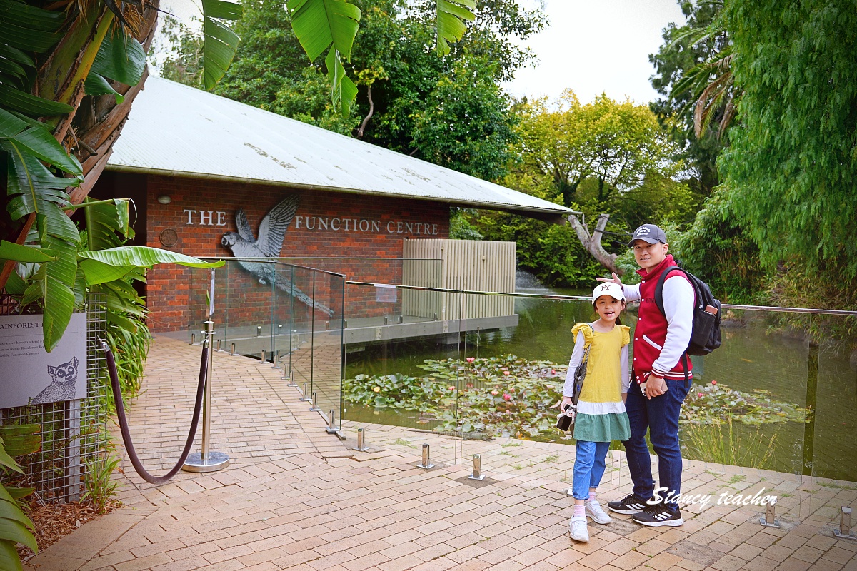 澳洲親子自由行必訪！墨爾本動物園 Melbourne Zoo 全攻略：絕美蝴蝶園、超萌丁狗、長頸鹿零死角合影神位大公開