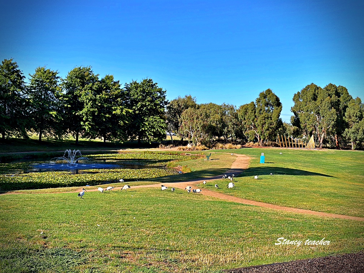 墨爾本格蘭坪國家公園一日遊｜Grampians National Park 壯麗山谷與野生動物體驗