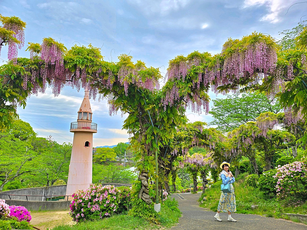 廣島尾道千光寺一日遊|自駕反方向玩法,從千光寺公園、展望台、鼓岩到纜車下山逛老街 廣島尾道千光寺一日遊|自駕反方向玩法,從千光寺公園、展望台、鼓岩到纜車下山逛老街