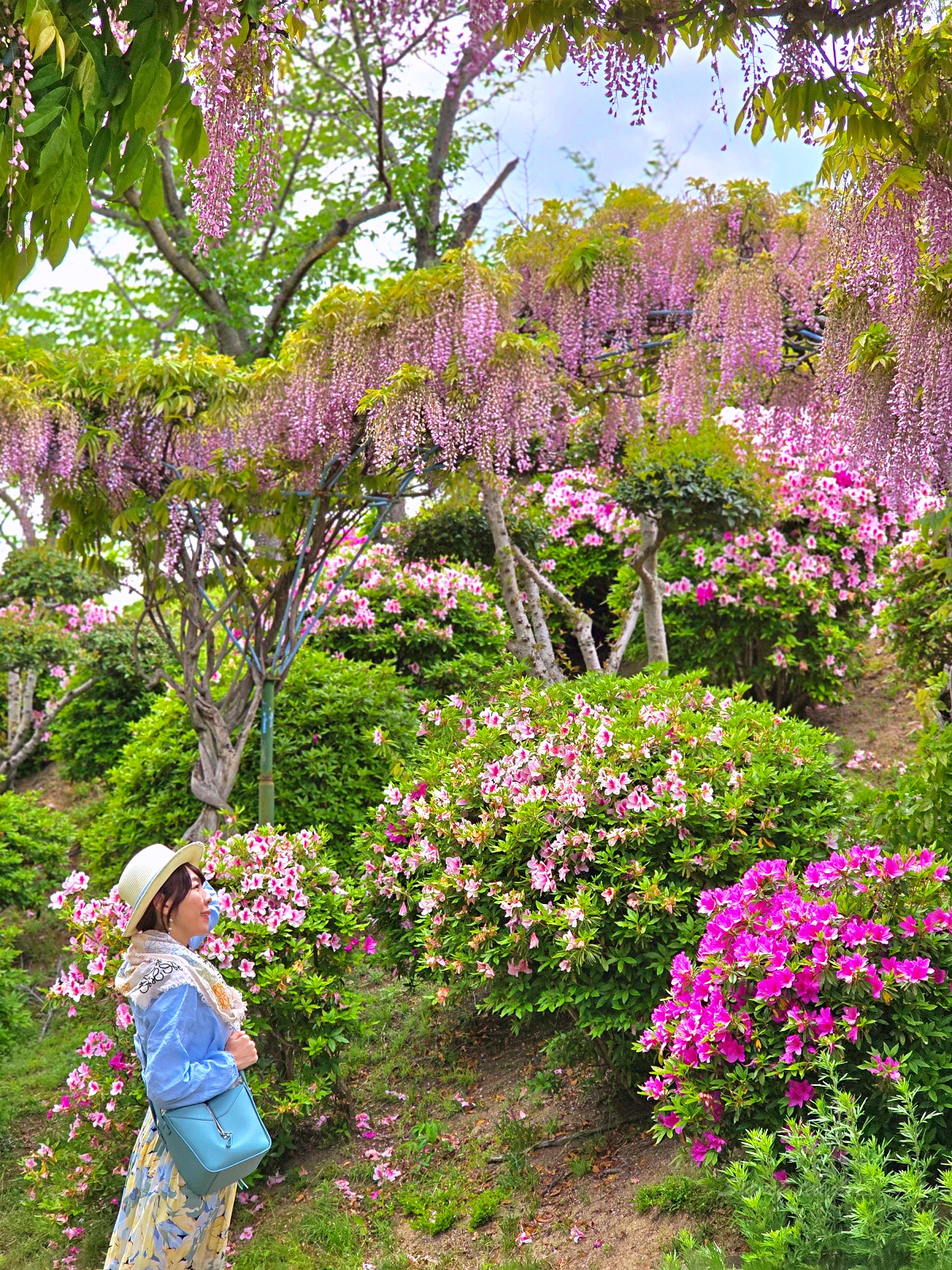 廣島尾道千光寺一日遊｜自駕反方向玩法，從千光寺公園、展望台、鼓岩到纜車下山逛老街