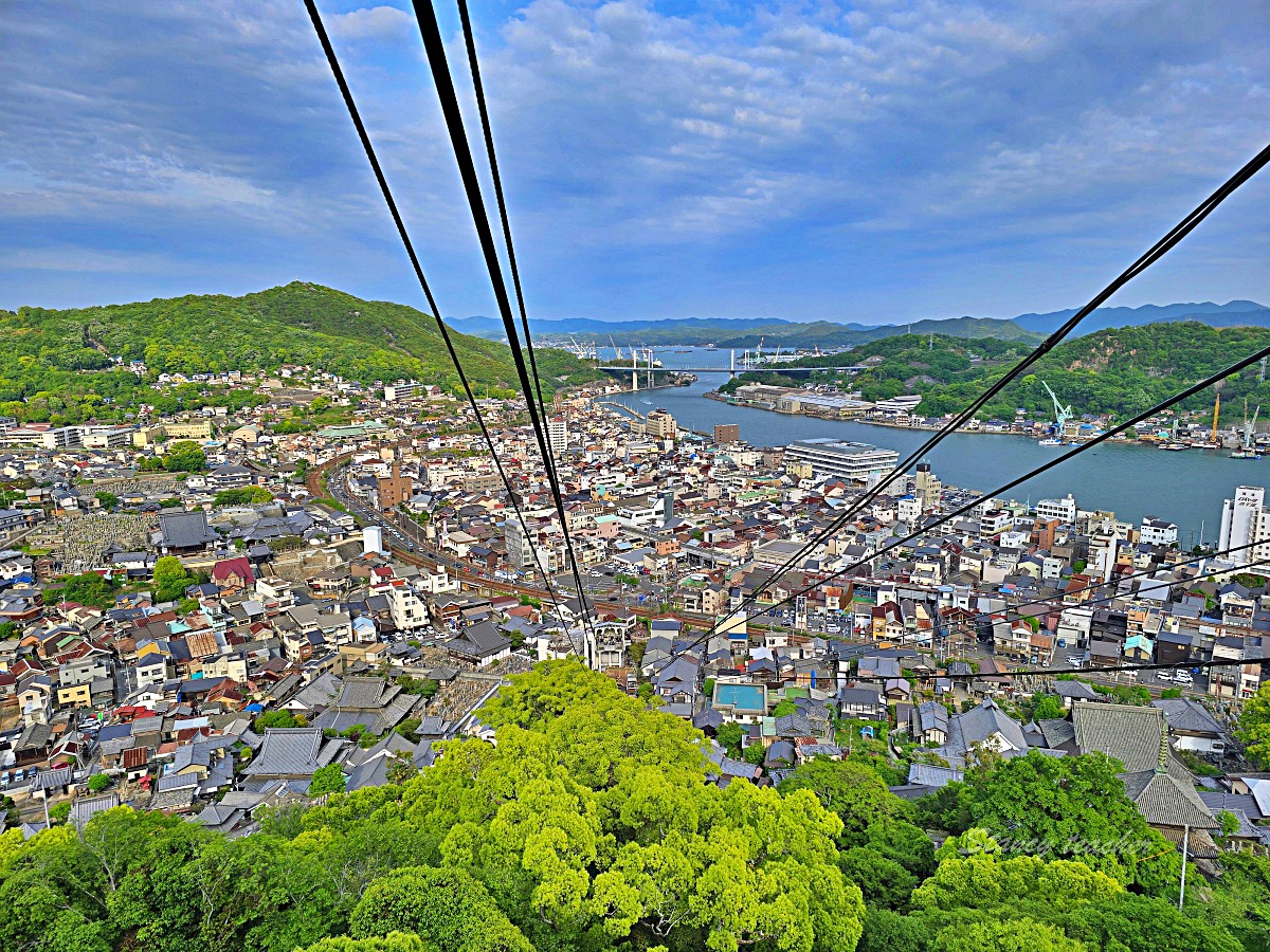 廣島尾道千光寺一日遊|自駕反方向玩法,從千光寺公園、展望台、鼓岩到纜車下山逛老街 廣島尾道千光寺一日遊|自駕反方向玩法,從千光寺公園、展望台、鼓岩到纜車下山逛老街