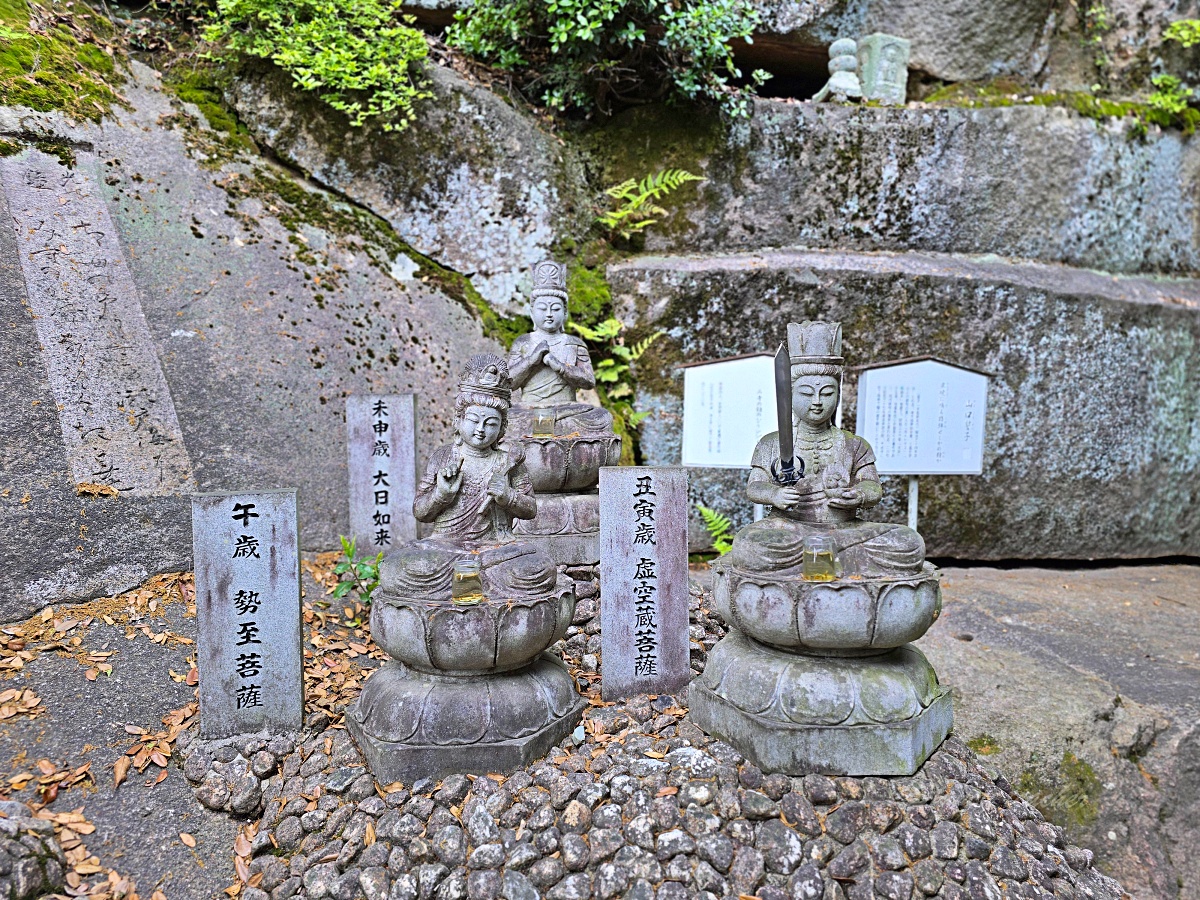 廣島尾道千光寺一日遊｜自駕反方向玩法，從千光寺公園、展望台、鼓岩到纜車下山逛老街