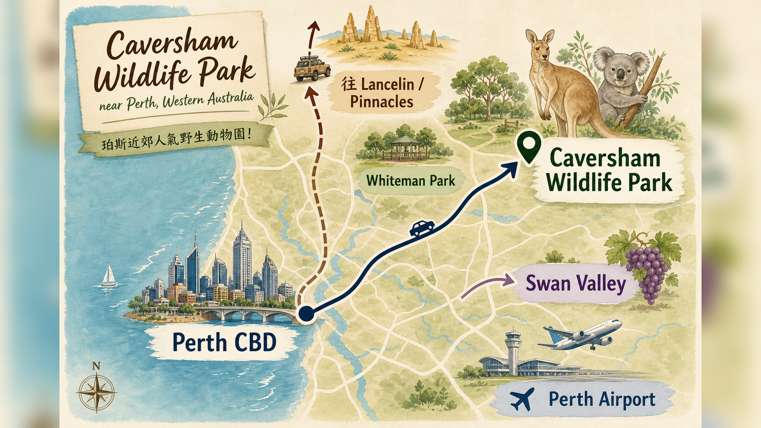 Caversham Wildlife Park 從 Perth CBD、Perth Airport、Whiteman Park 到 Swan Valley 與 Lancelin Pinnacles 北線的相對位置示意圖
