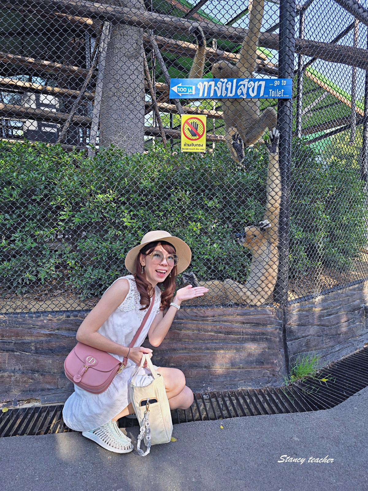 泰國大城動物園 Sriayuthaya Lion Park｜曼谷近郊親子景點，長頸鹿互動、卡皮巴拉餵食、票價交通攻略