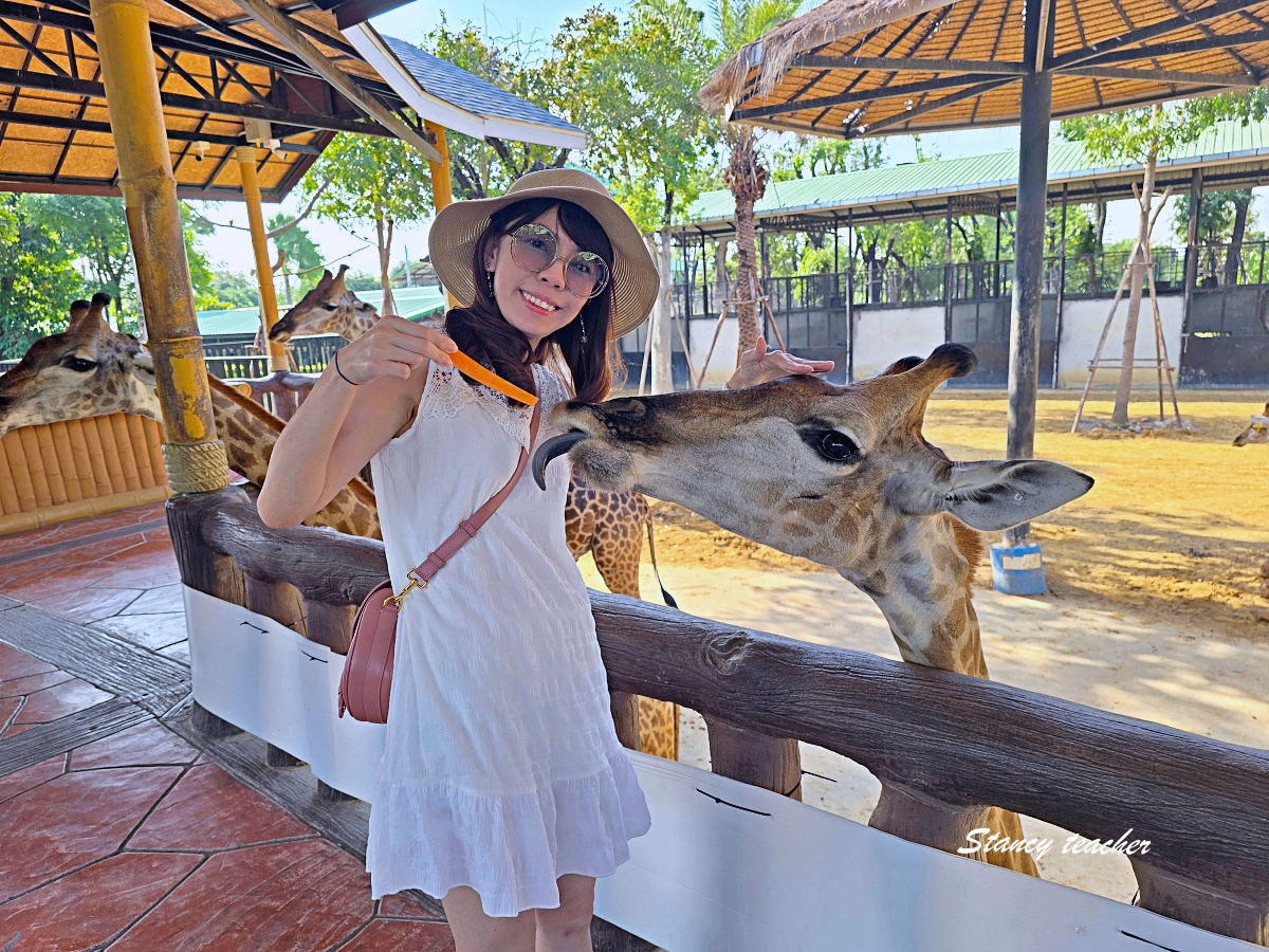 泰國大城動物園 Sriayuthaya Lion Park｜曼谷近郊親子景點，長頸鹿互動、卡皮巴拉餵食、票價交通攻略