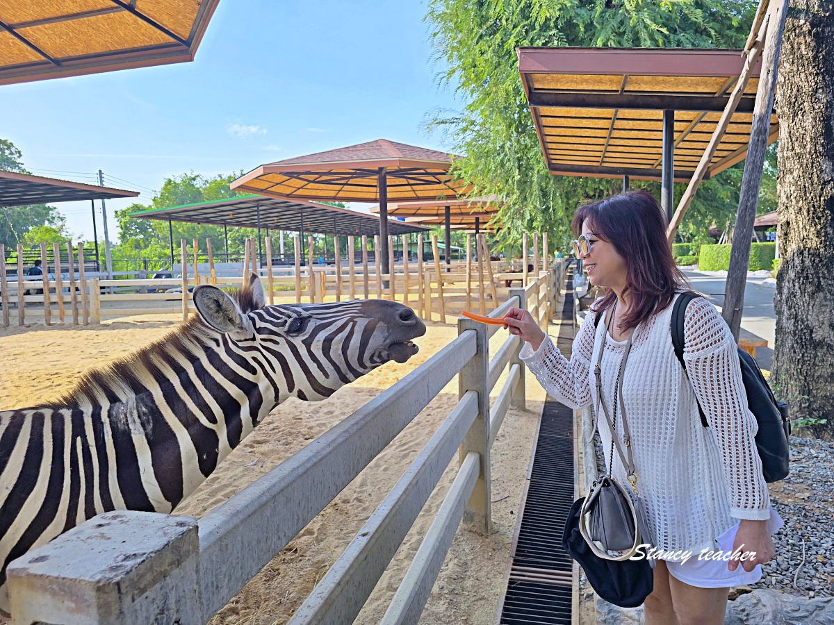 泰國大城動物園 Sriayuthaya Lion Park｜曼谷近郊親子景點，長頸鹿互動、卡皮巴拉餵食、票價交通攻略