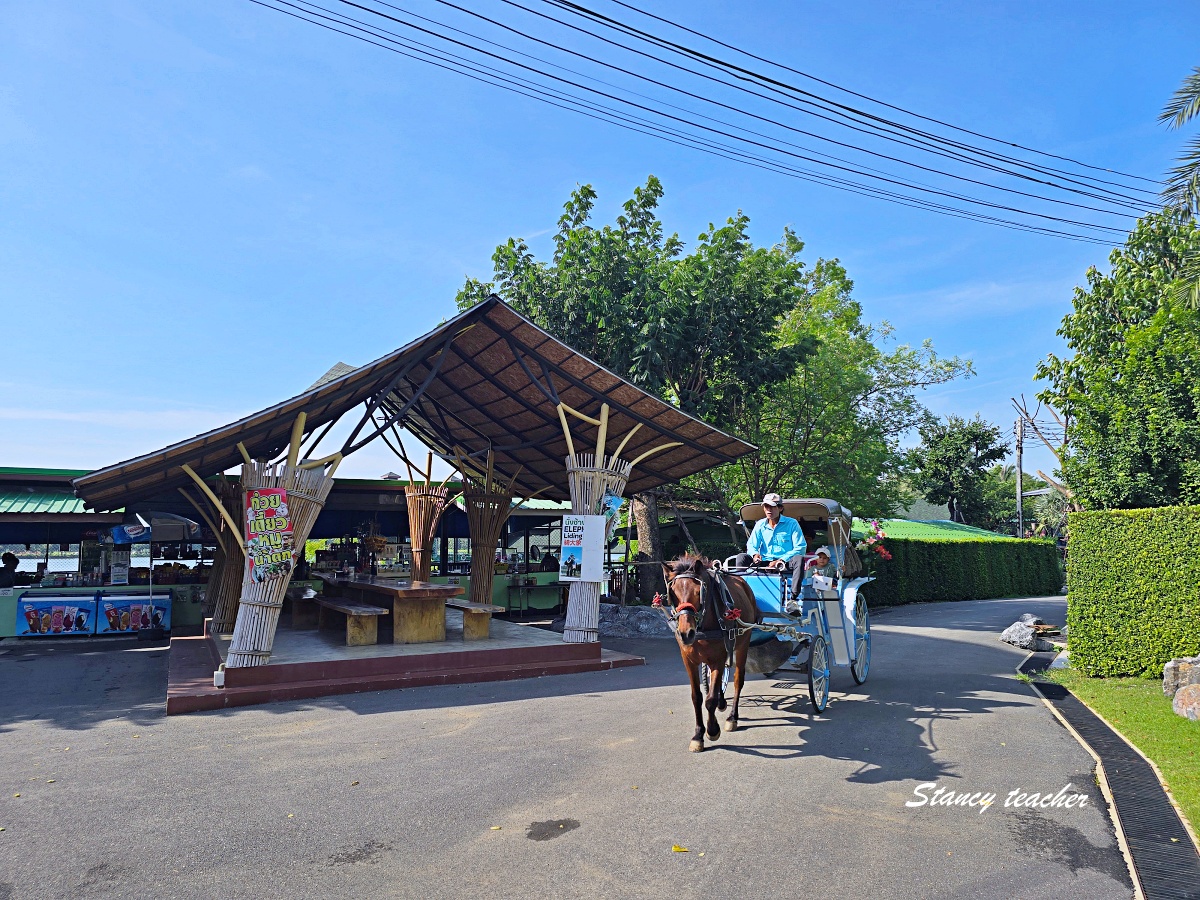 泰國大城動物園 Sriayuthaya Lion Park｜曼谷近郊親子景點，長頸鹿互動、卡皮巴拉餵食、票價交通攻略