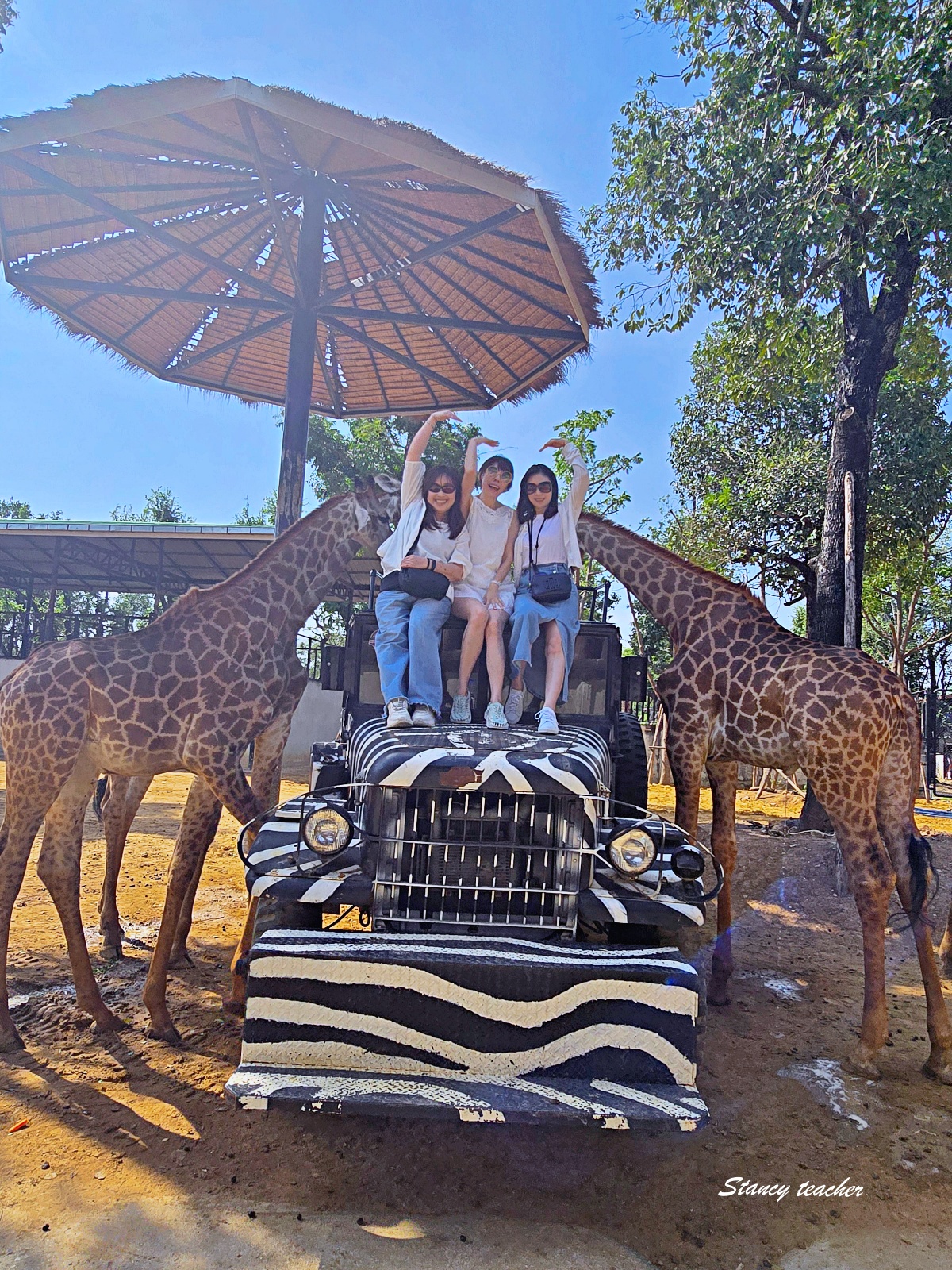 泰國大城動物園 Sriayuthaya Lion Park｜曼谷近郊親子景點，長頸鹿互動、卡皮巴拉餵食、票價交通攻略