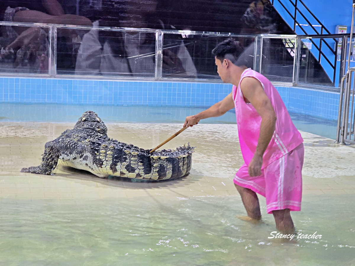 泰國大城動物園 Sriayuthaya Lion Park｜曼谷近郊親子景點，長頸鹿互動、卡皮巴拉餵食、票價交通攻略