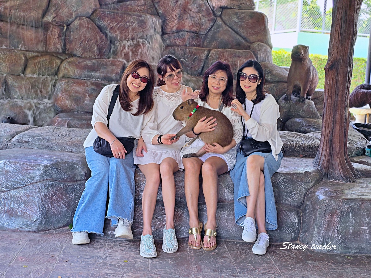 泰國大城動物園 Sriayuthaya Lion Park｜曼谷近郊親子景點，長頸鹿互動、卡皮巴拉餵食、票價交通攻略