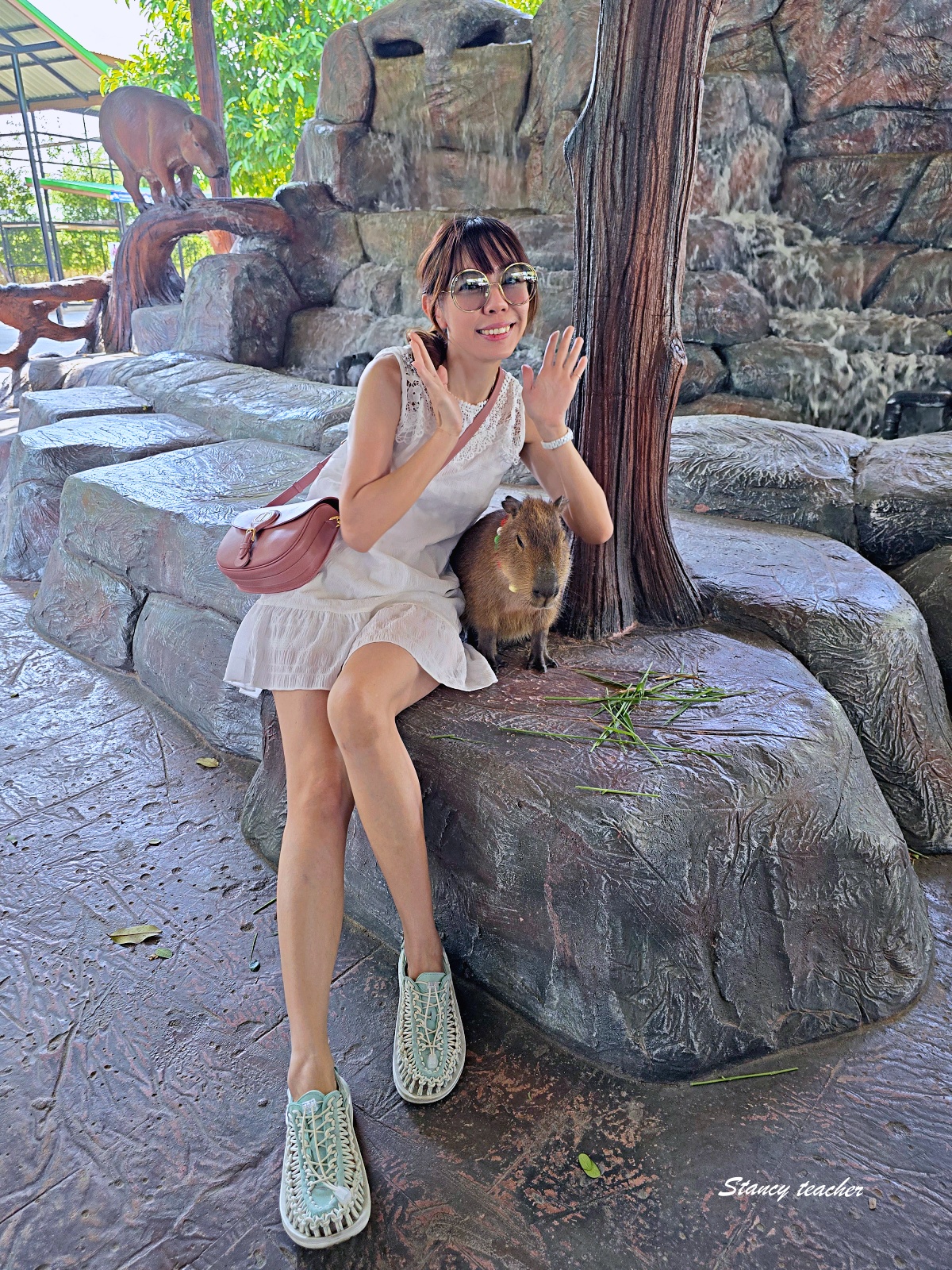 泰國大城動物園 Sriayuthaya Lion Park｜曼谷近郊親子景點，長頸鹿互動、卡皮巴拉餵食、票價交通攻略